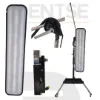 Picture of Magic 6 LED Oval-Footed PDR Lamp