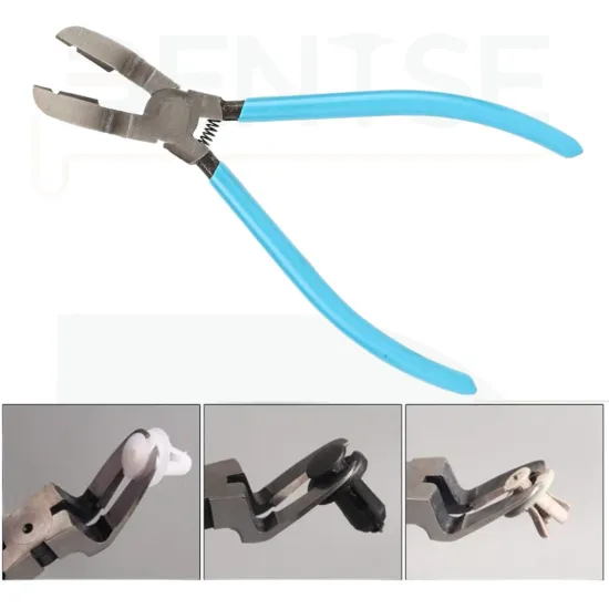 Dentse Klips-Segman Pensesi